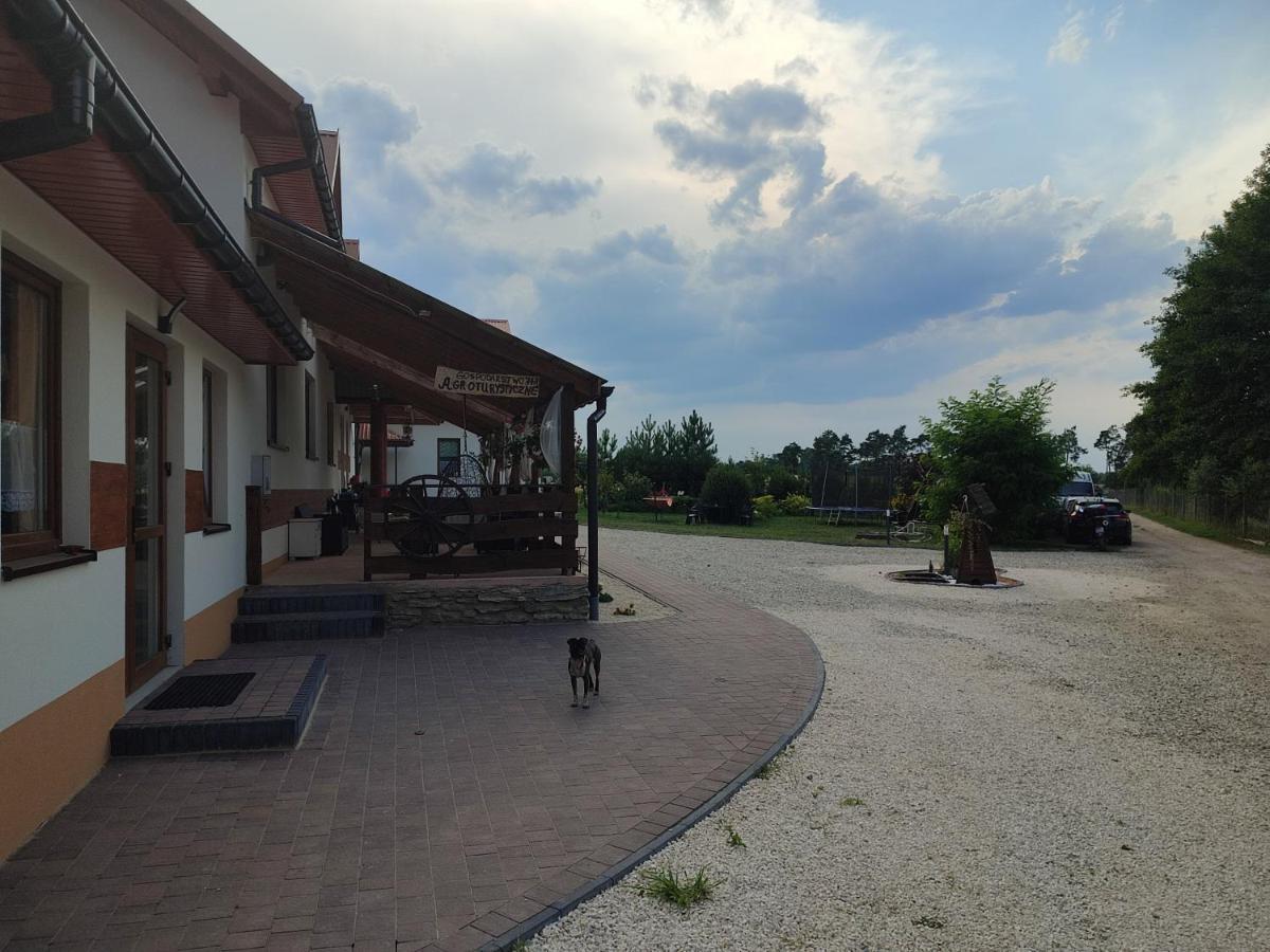 Villa Agrowczasy Nad Stawem Gartatowice Exterior foto