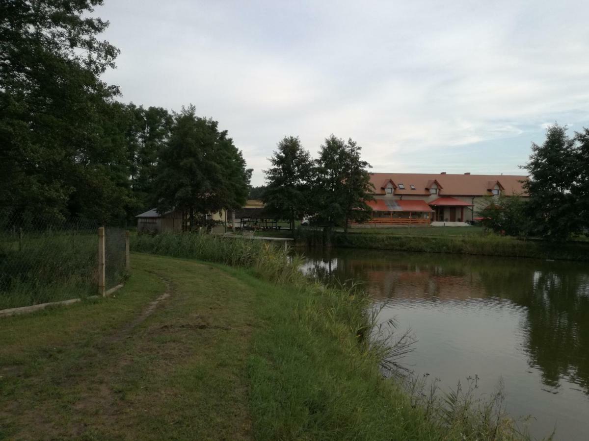Villa Agrowczasy Nad Stawem Gartatowice Exterior foto